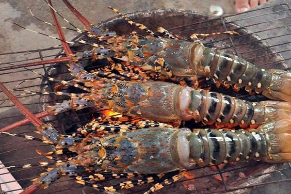 Brioza’s Lobster, Fenugreek and Chestnut Broth