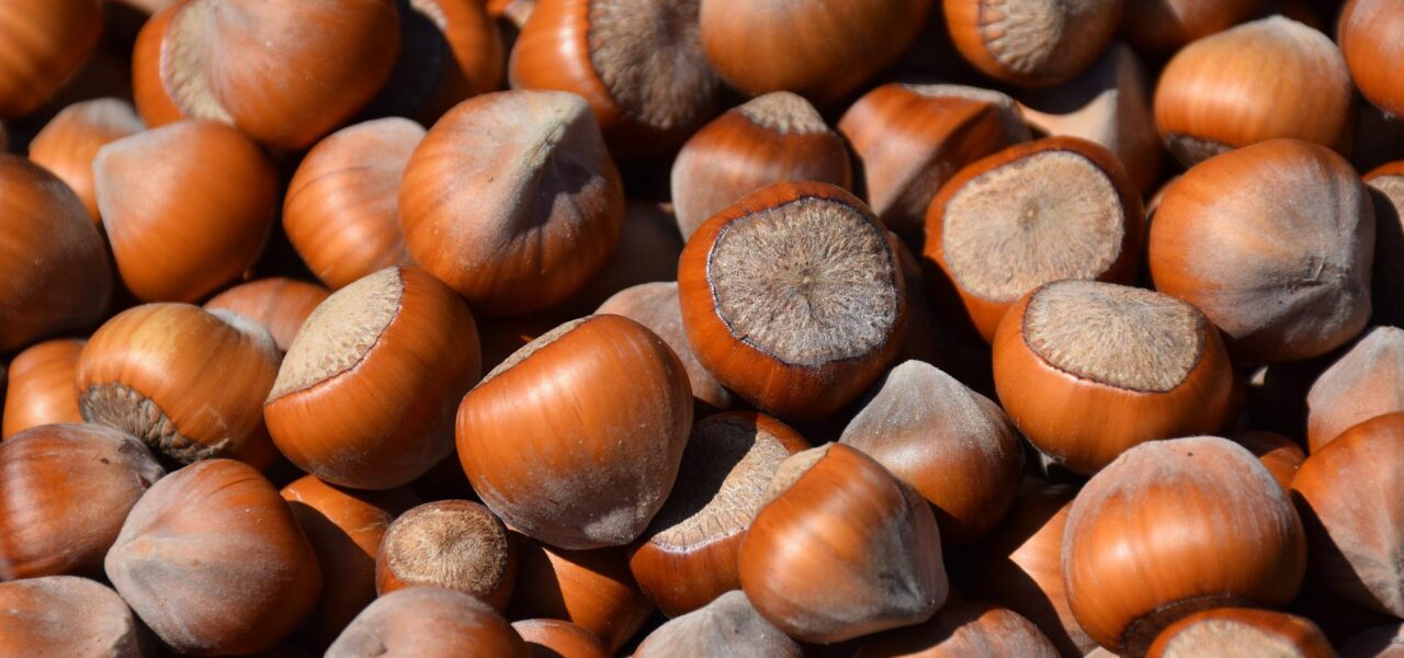 Michigan Grown Hazelnuts